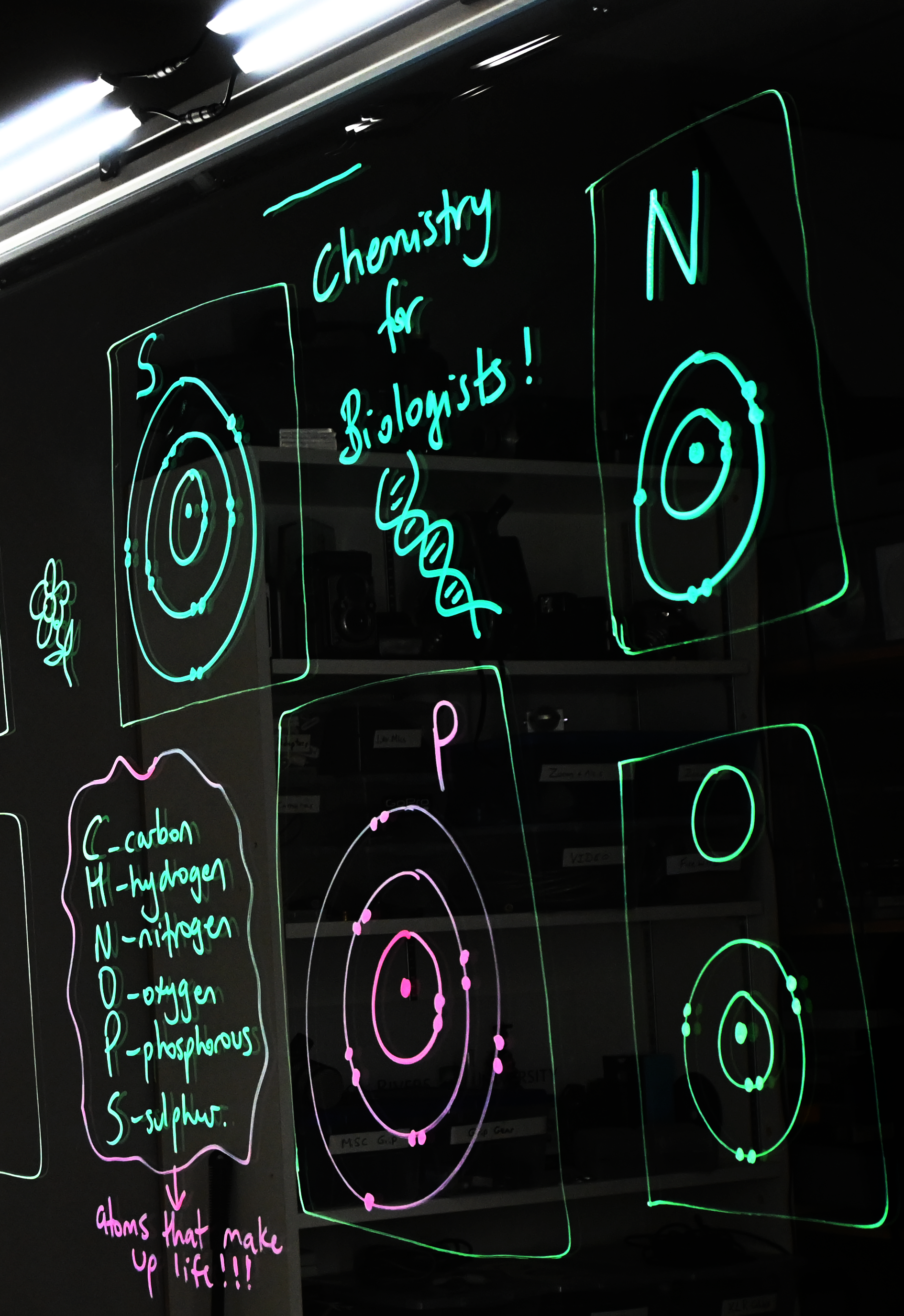 Writing on a light board shows Bohr models of sulphur, nitrogen, phosphorus, and oxygen. There is a list of the six elements that make up life: carbon, hydrogen, nitrogen, oxygen, phosphorus, and sulphur.