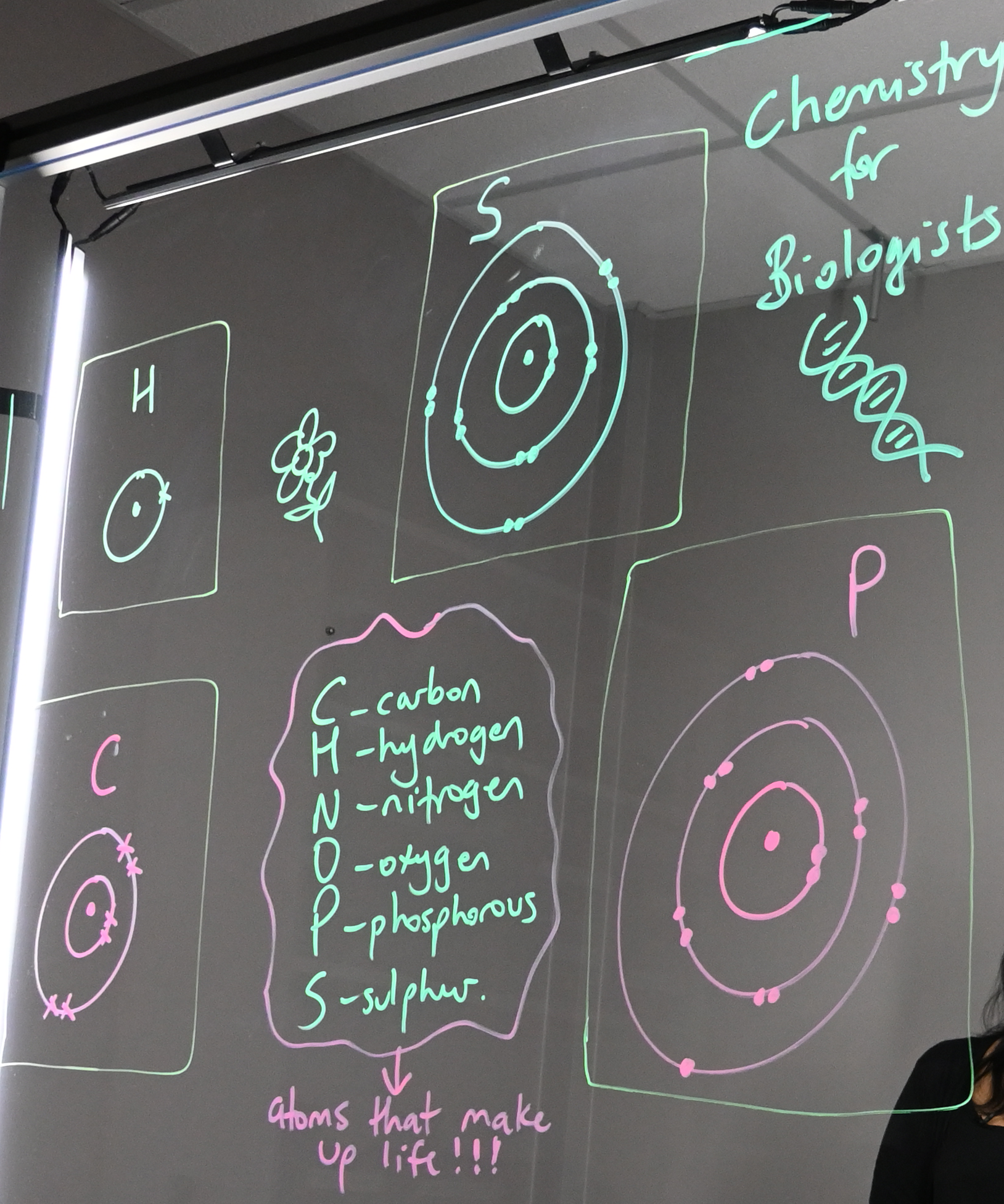 Writing on a light board shows Bohr models of carbon, hydrogen, sulphur, and phosphorus. There is a list of the six elements that make up life: carbon, hydrogen, nitrogen, oxygen, phosphorus, and sulphur.