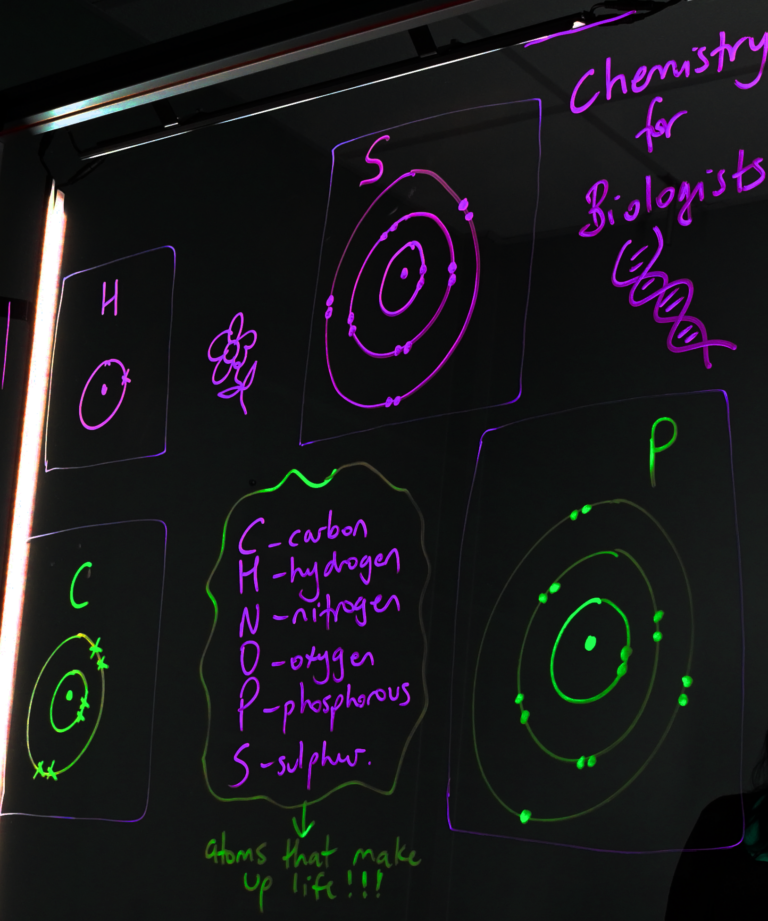 Writing on a light board shows Bohr models of carbon, hydrogen, sulphur, and phosphorus. There is a list of the six elements that make up life: carbon, hydrogen, nitrogen, oxygen, phosphorus, and sulphur.