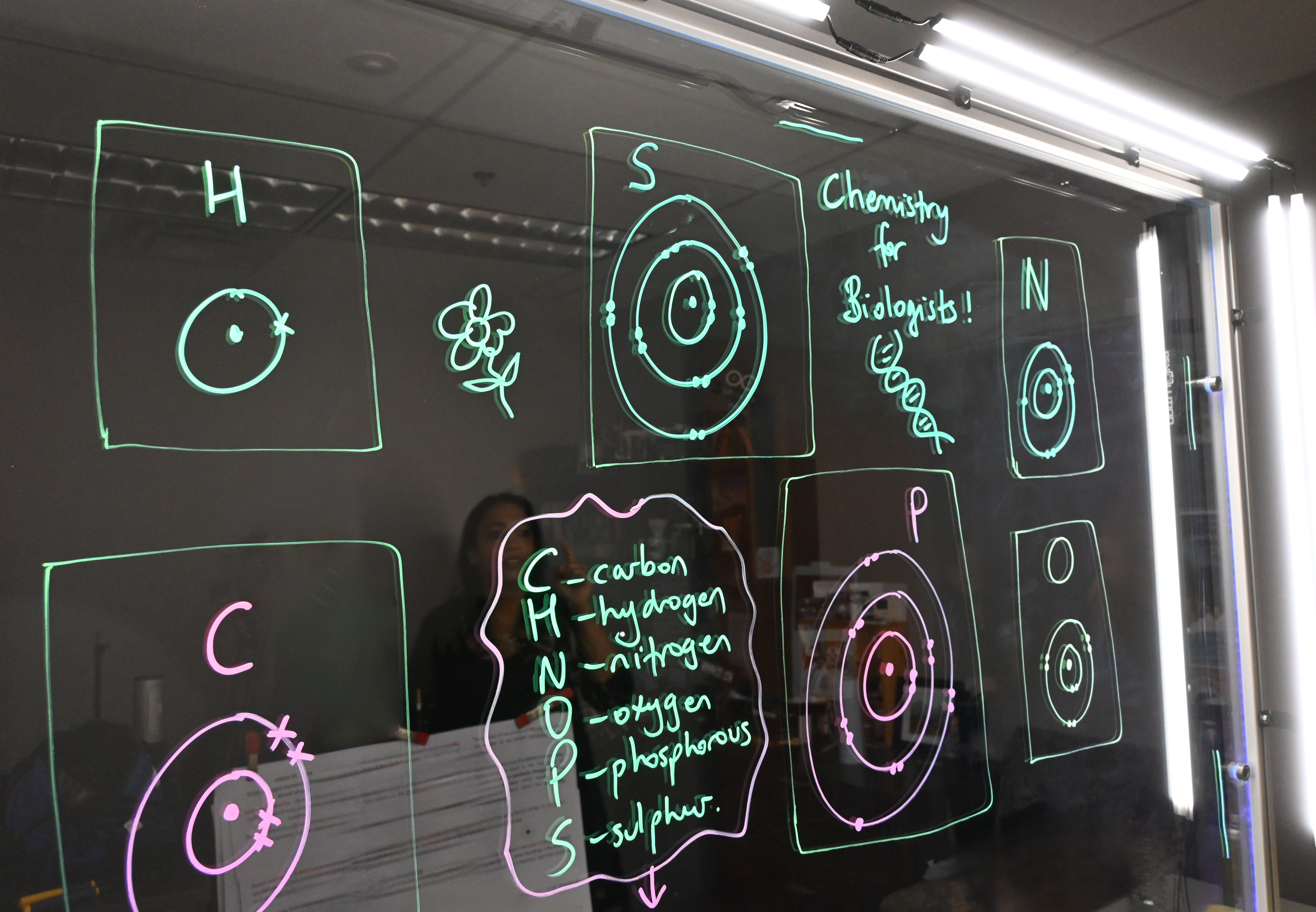 Writing on a light board says 'Chemistry for Biologists' and lists the six elements that make up life along with their Bohr models.