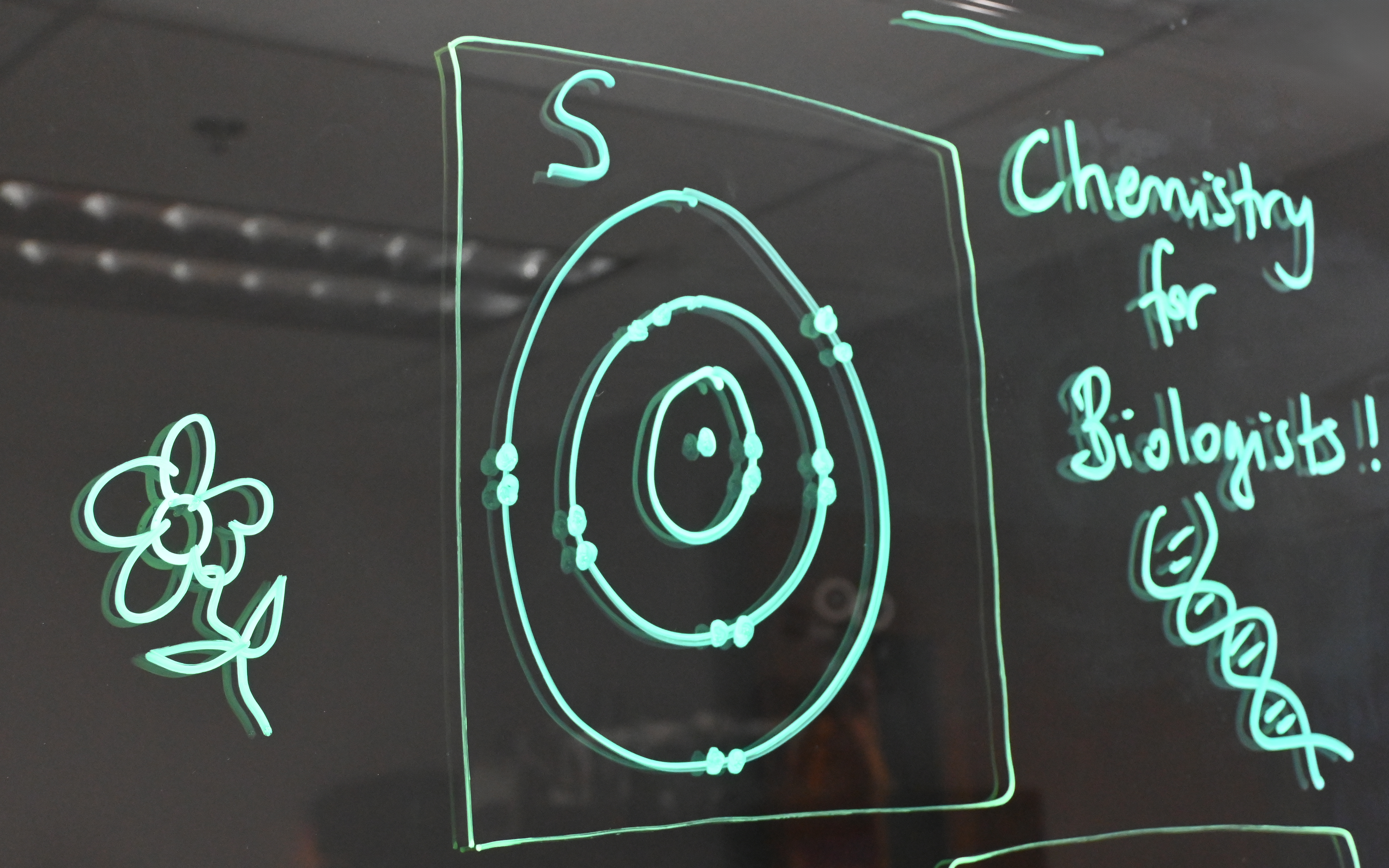 Writing on a light board shows the sulphur Bohr model. On the left side is a flower and on the right is the text 'Chemistry for Biologists' text with a double helix below it.