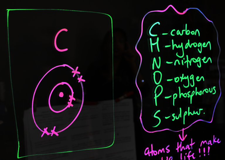 Writing on a light board shows a carbon Bohr model and lists the six elements that make up life: carbon, hydrogen, nitrogen, oxygen, phosphorus, and sulphur.