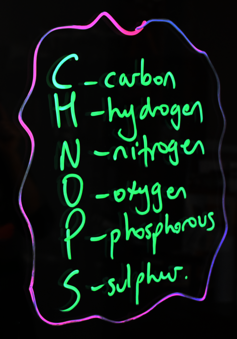 Writing on a light board that lists the six elements that make up life: carbon, hydrogen, nitrogen, oxygen, phosphorus, and sulphur.