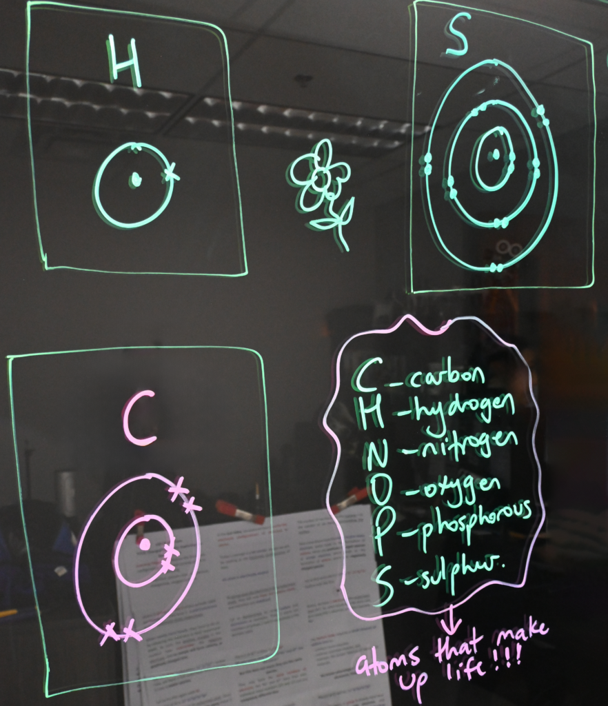 Writing on a light board shows Bohr models of carbon, hydrogen, and sulphur. There is a list of the six elements that make up life: carbon, hydrogen, nitrogen, oxygen, phosphorus, and sulphur.