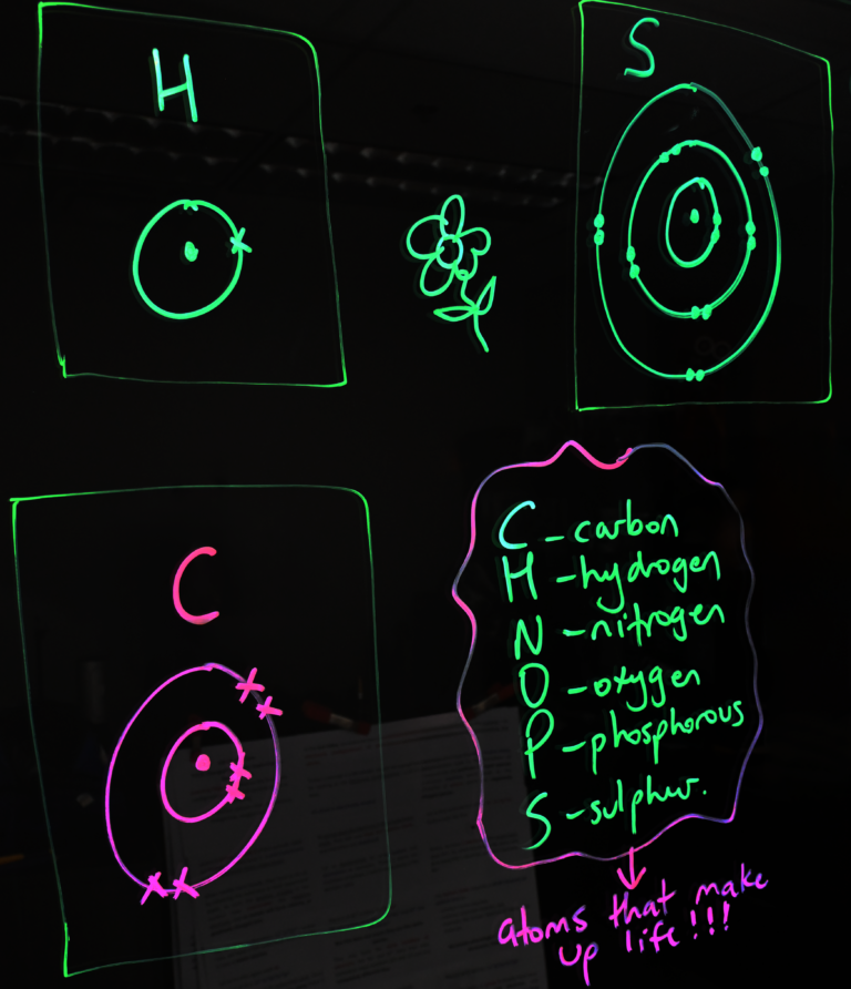 Atoms that make up life content written on a light board. Drawing of atoms that make up life are around the atom's names.
