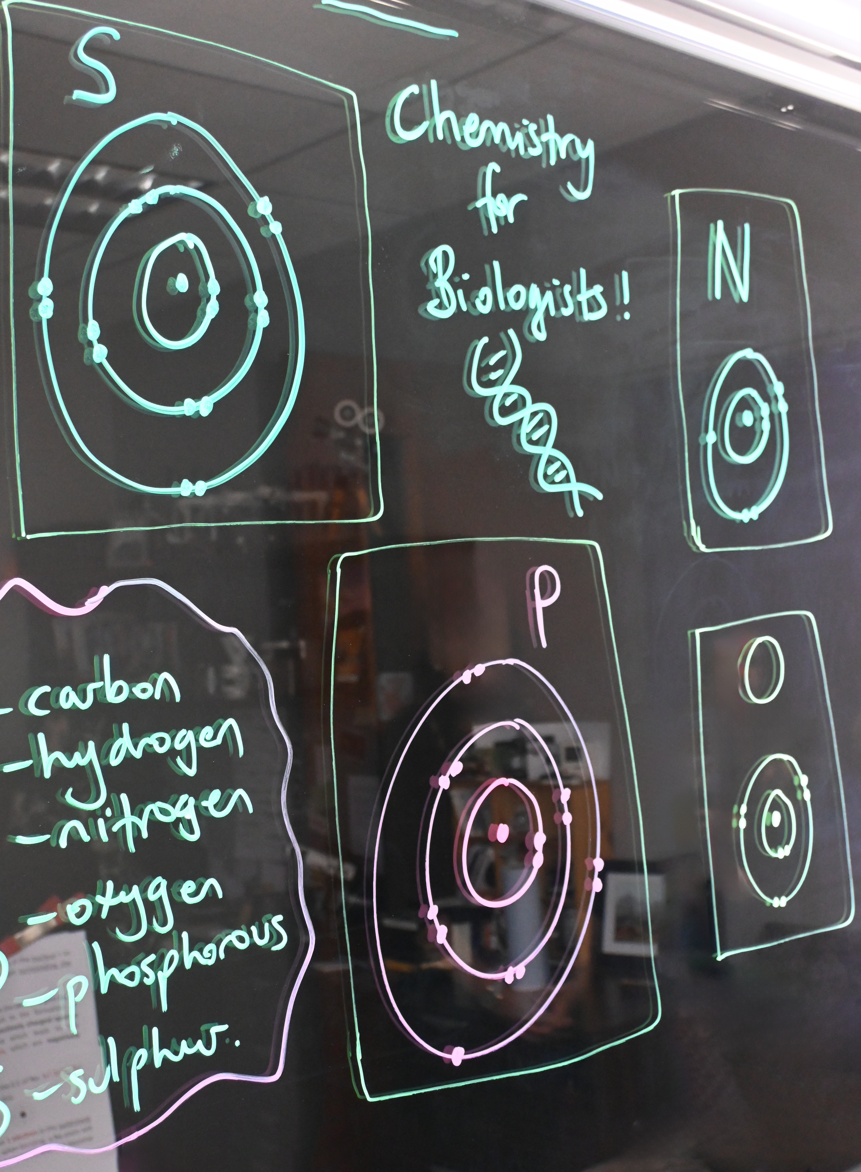 Chemistry content for biologists written on a light board. Drawing of some atoms that make of life are around the light board.