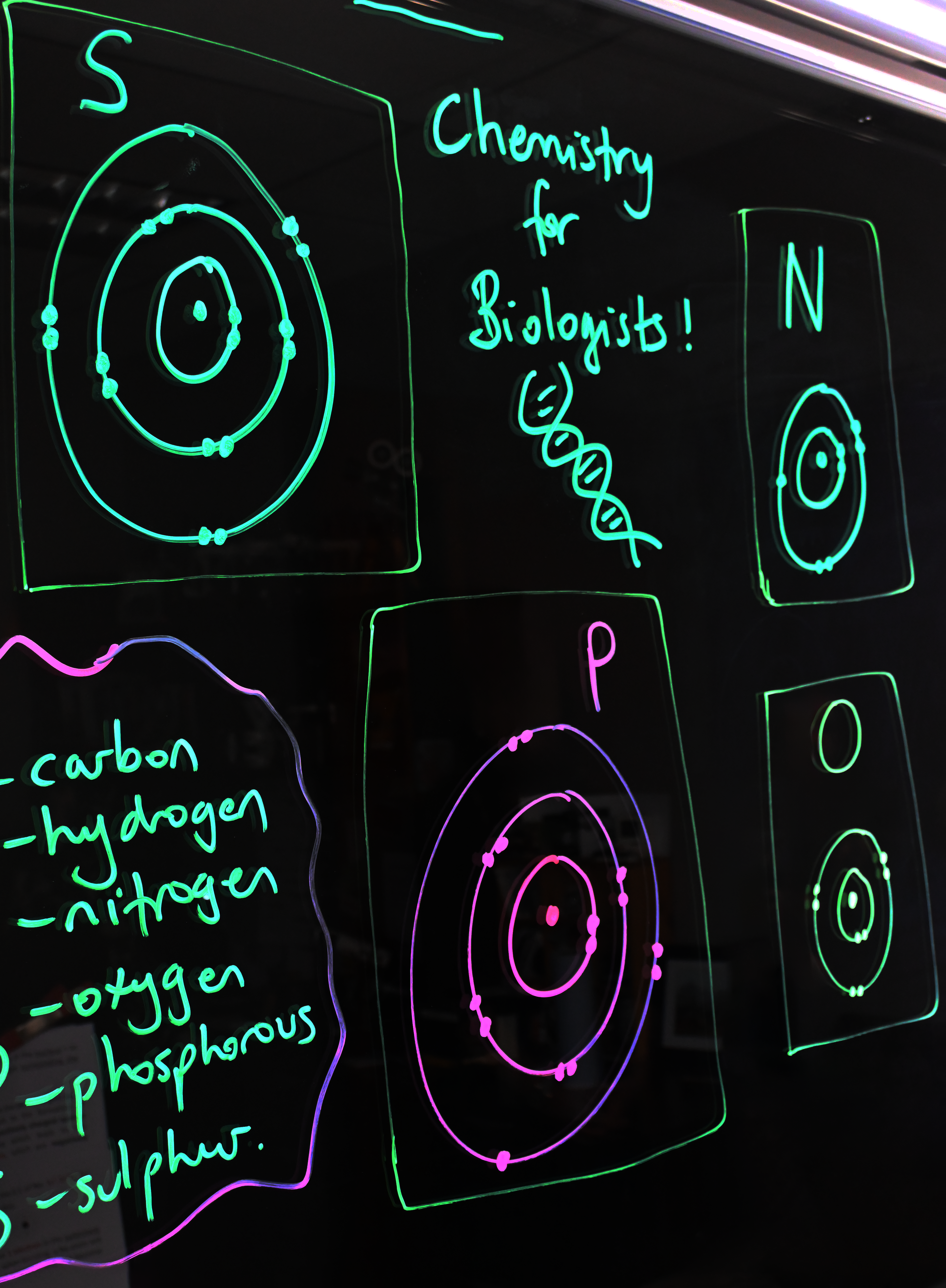 Chemistry content for biologists written on a light board. Drawing of some atoms that make of life are around the light board.