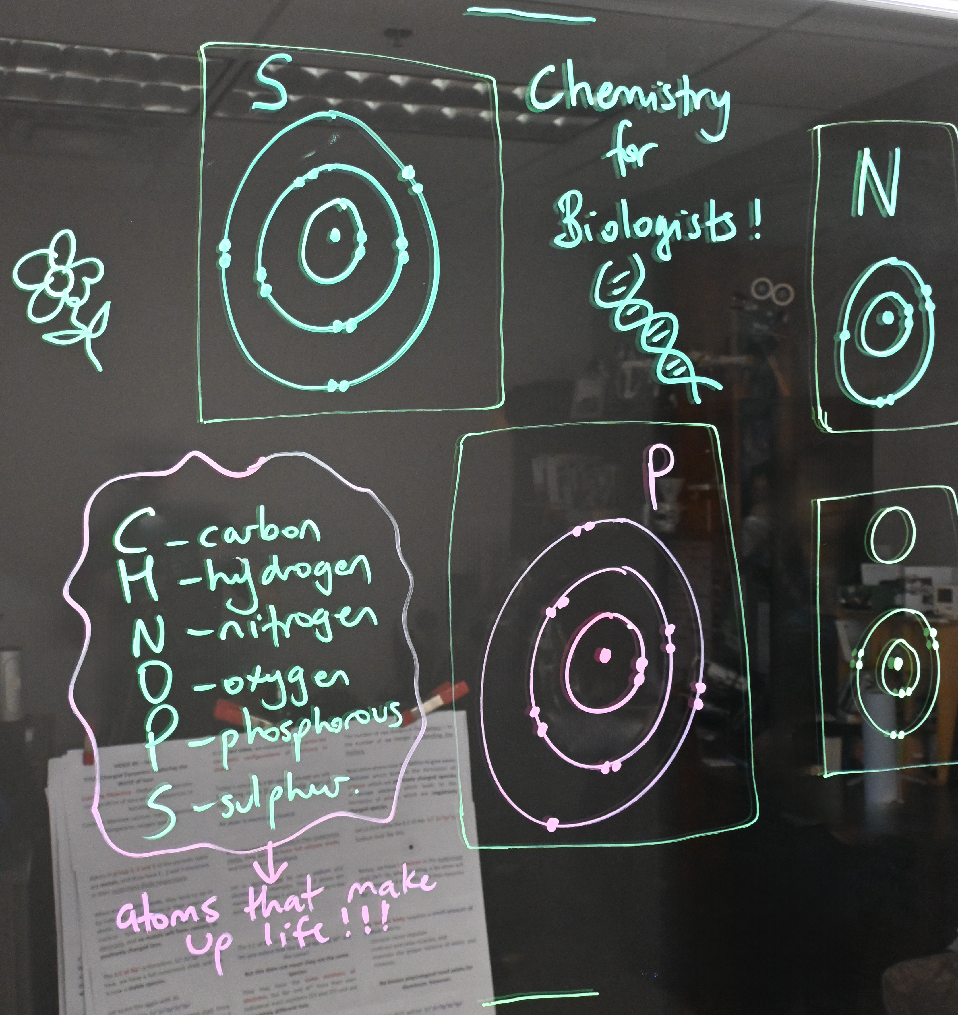 Writing on a light board shows Bohr models of sulphur, nitrogen, phosphorus, and oxygen. There is a list of the six elements that make up life: carbon, hydrogen, nitrogen, oxygen, phosphorus, and sulphur.