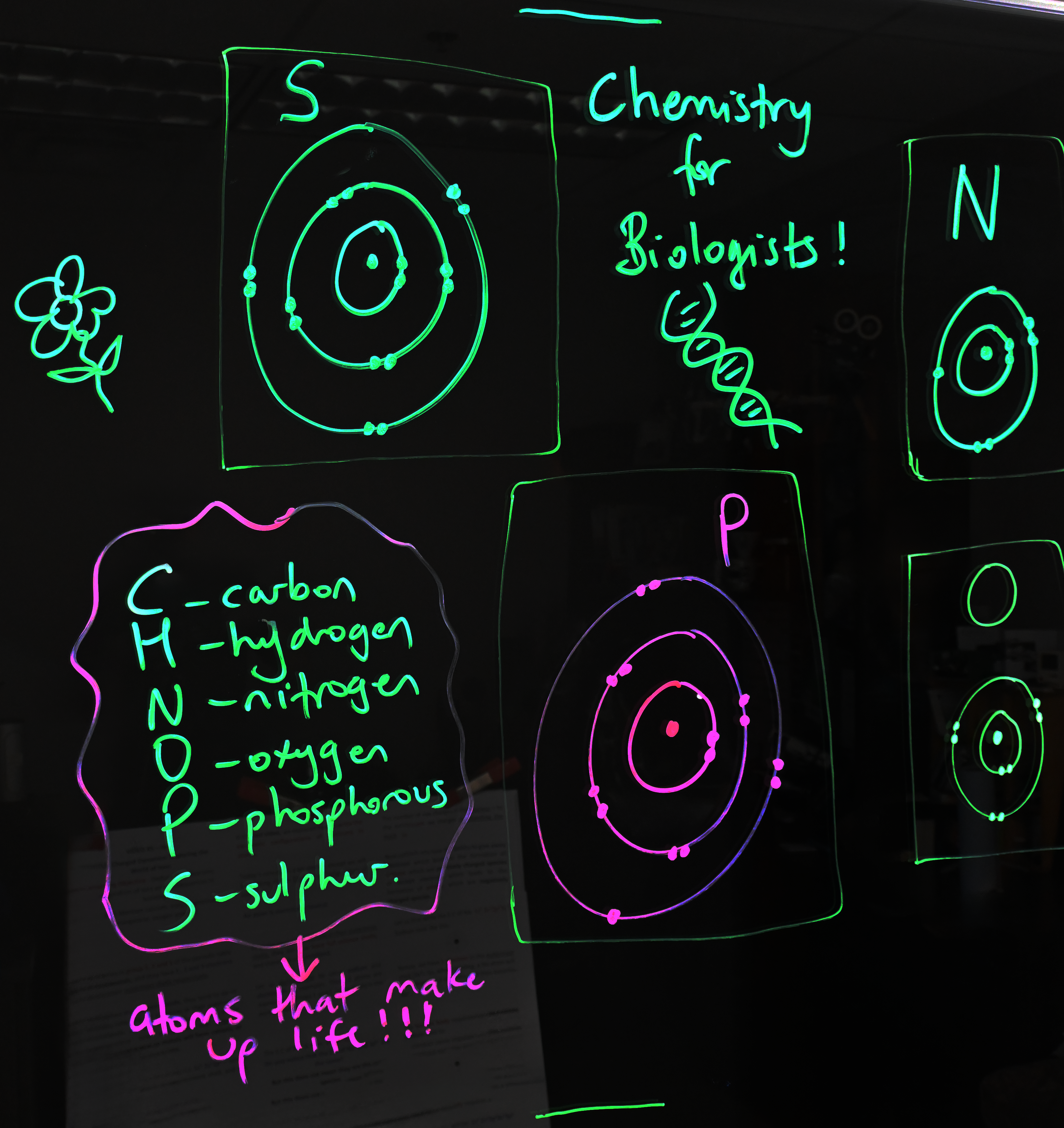 Writing on a light board shows Bohr models of sulphur, nitrogen, phosphorus, and oxygen. There is a list of the six elements that make up life: carbon, hydrogen, nitrogen, oxygen, phosphorus, and sulphur.