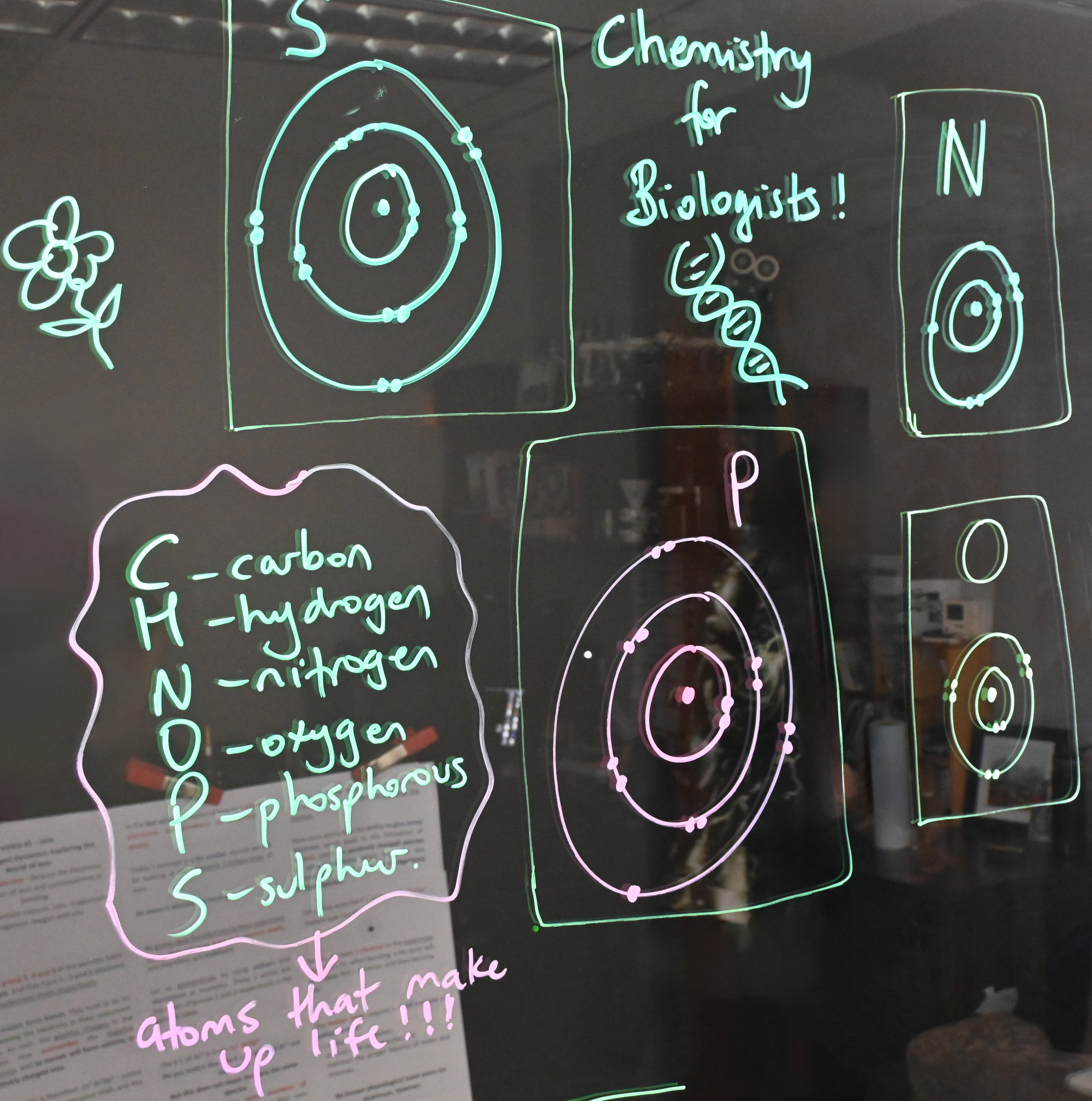 Writing on a light board shows Bohr models of sulphur, nitrogen, phosphorus, and oxygen. There is a list of the six elements that make up life: carbon, hydrogen, nitrogen, oxygen, phosphorus, and sulphur.