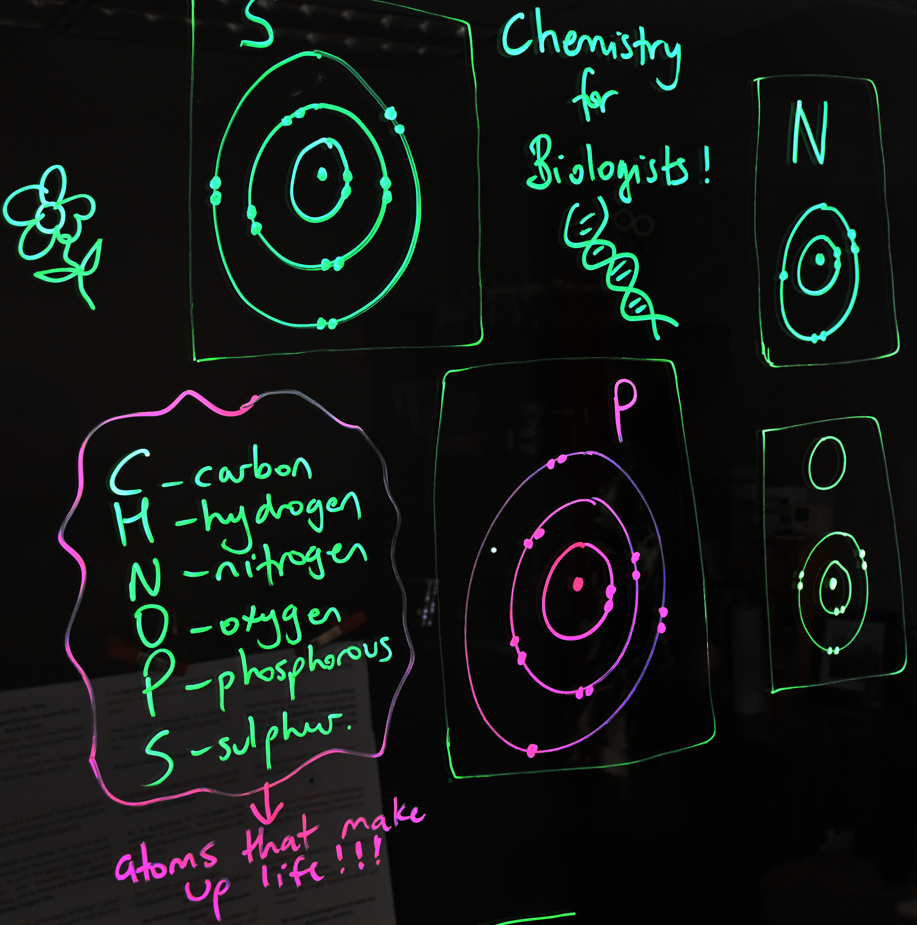 Writing on a light board shows Bohr models of sulphur, nitrogen, phosphorus, and oxygen. There is a list of the six elements that make up life: carbon, hydrogen, nitrogen, oxygen, phosphorus, and sulphur.