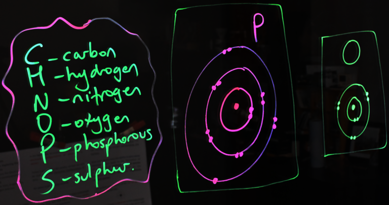 Writing on a light board shows Bohr models of phosphorus and oxygen and lists the six elements that make up life. These elements are carbon, hydrogen, nitrogen, oxygen, phosphorus, and sulphur.