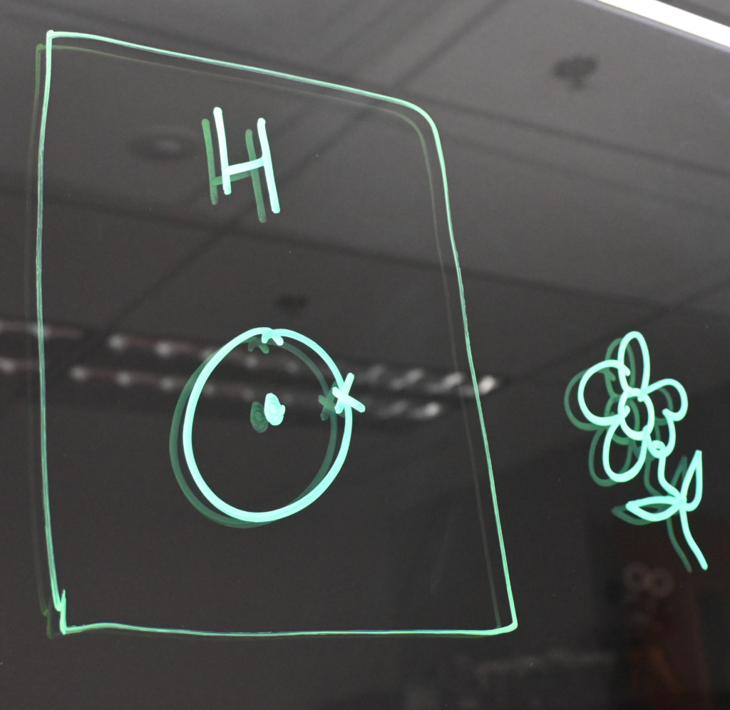 Drawing of a hydrogen Bohr model and a flower on a light board.