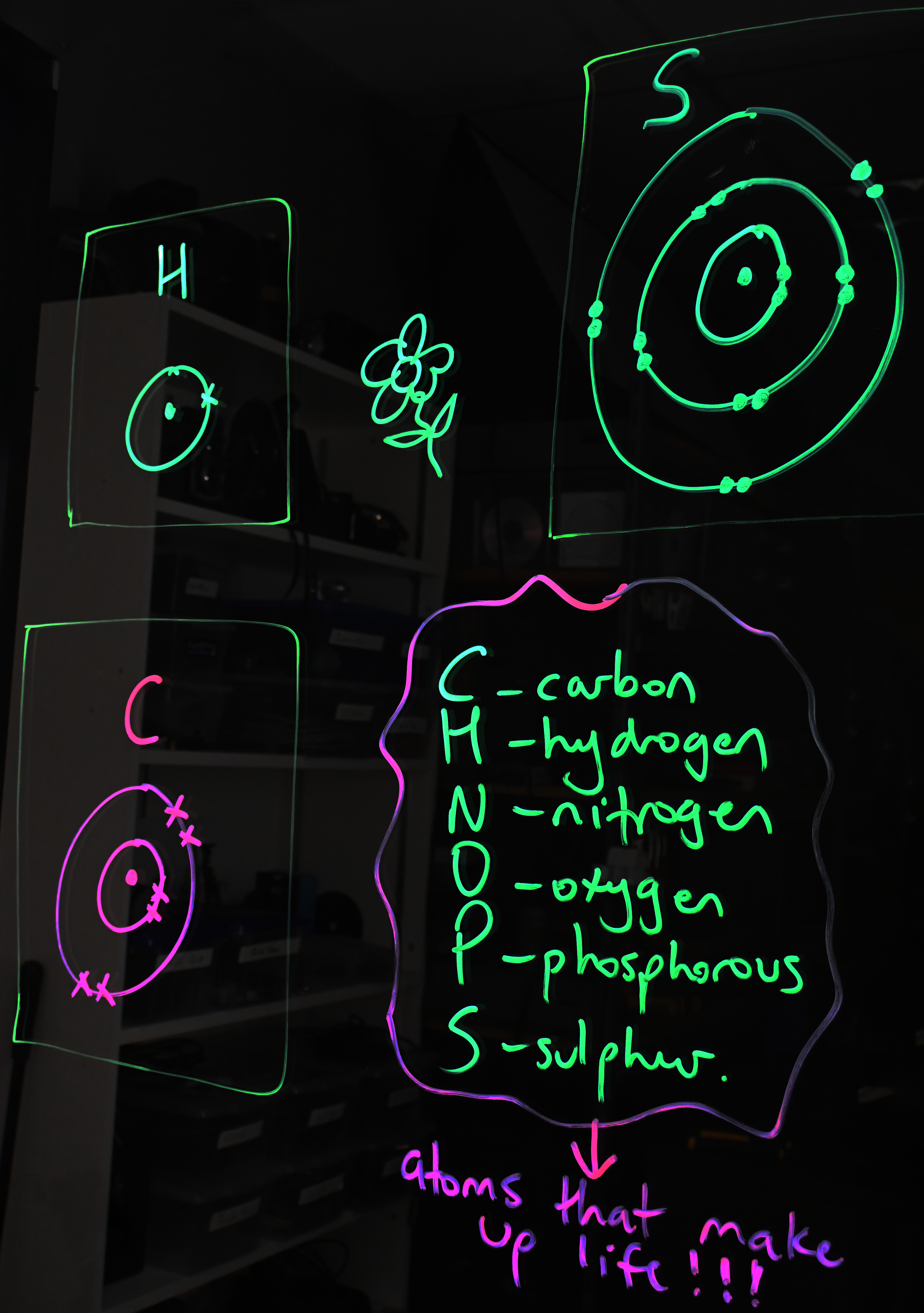 Writing on a light board shows Bohr models of carbon, hydrogen, and sulphur. There is a list of the six elements that make up life: carbon, hydrogen, nitrogen, oxygen, phosphorus, and sulphur.