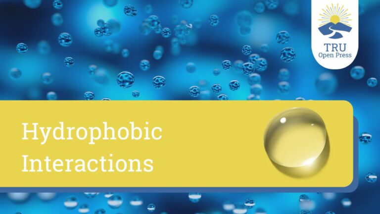 13. Repelling Waters: The Art of Hydrophobic Interactions